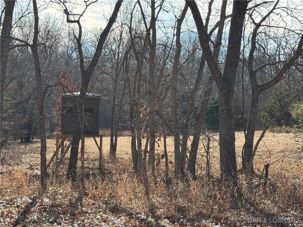 82-acres State Road North Climax Springs, MO 65324 - Photo 66 of 68