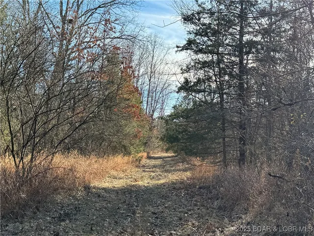$389,900 | 82-acres State Road North, Climax Springs, MO 65324
