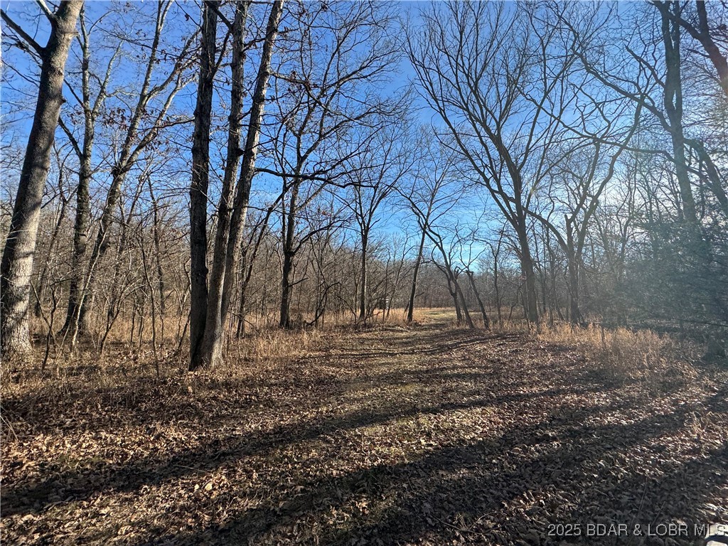 82-acres State Road North Climax Springs, MO 65324 - Photo 68 of 68