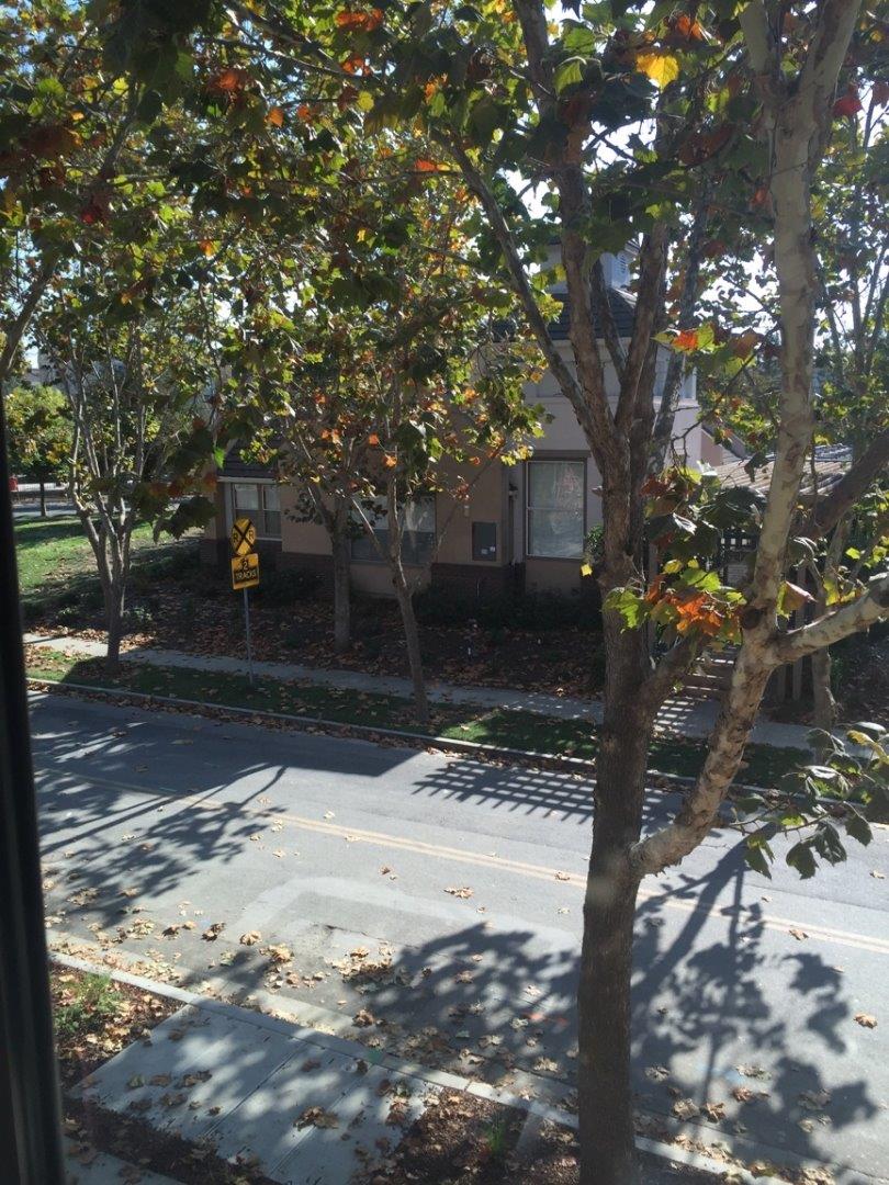 186 Melia Loop Mountain View, CA 94043 - Photo 13 of 14