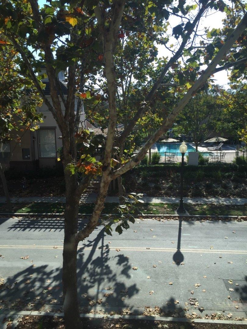 186 Melia Loop Mountain View, CA 94043 - Photo 14 of 14