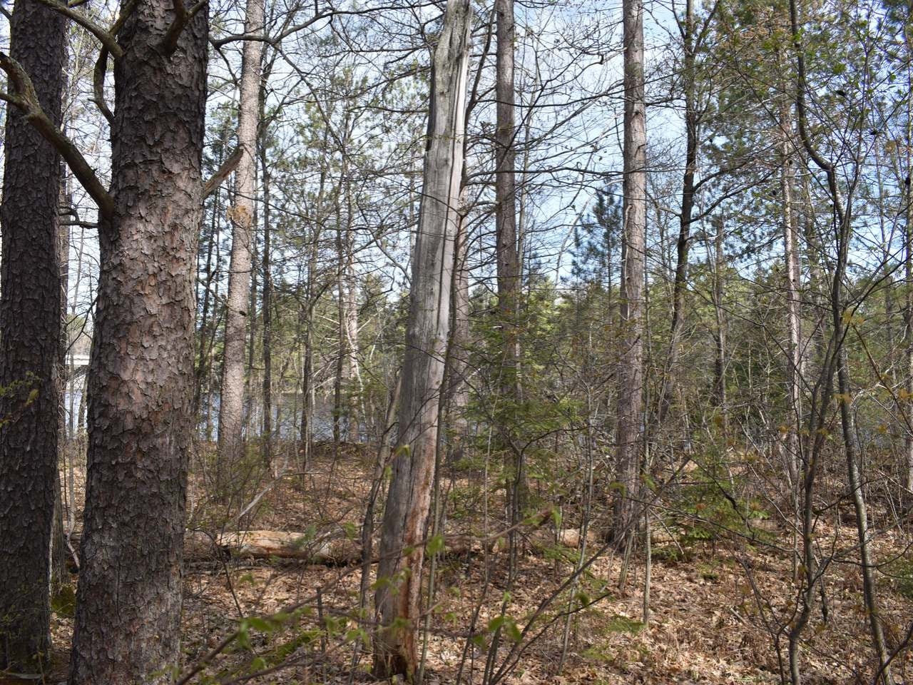 Lot 2 Kings Road Tomahawk, WI 54487 - Photo 4 of 9 Gallery Image 4