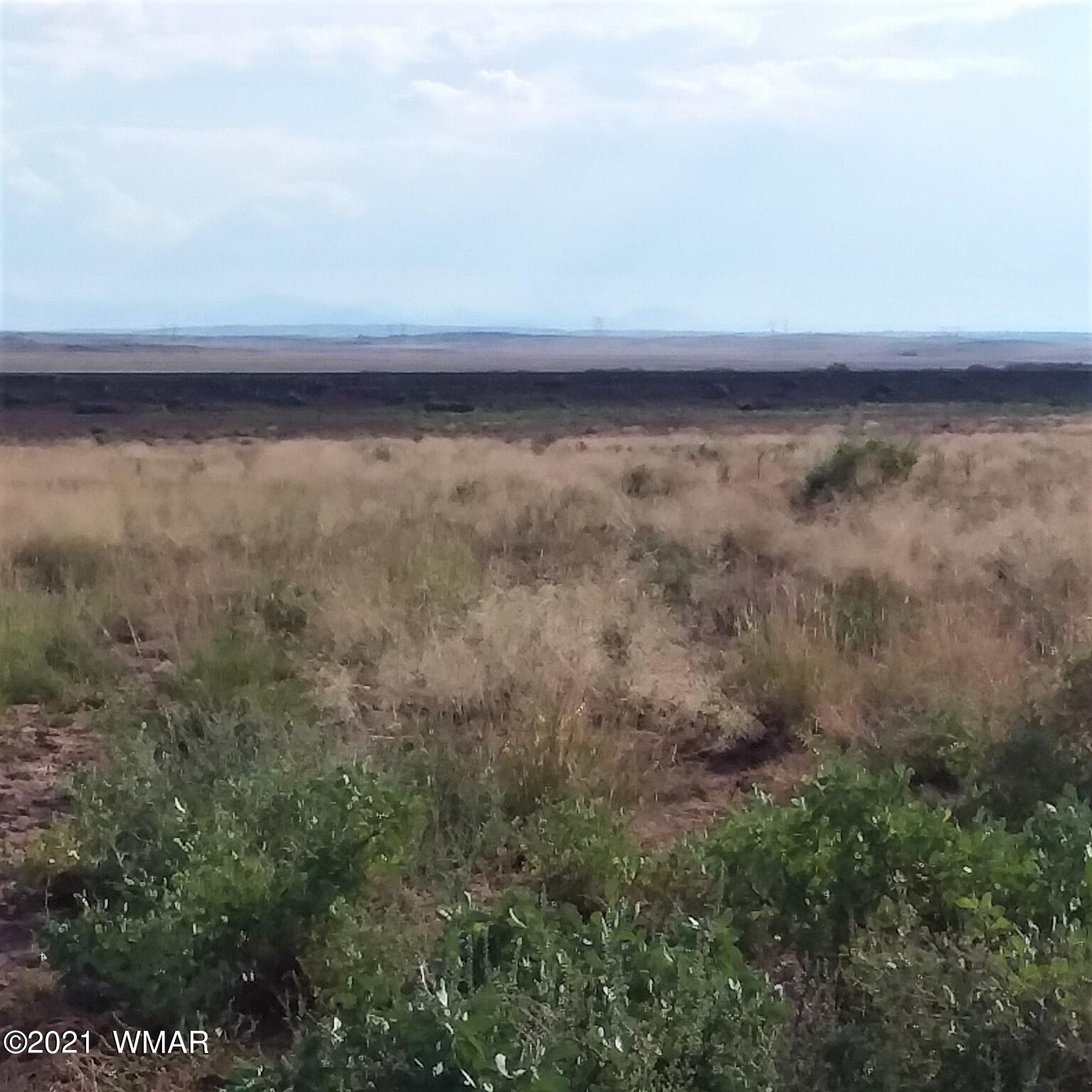 Lot 208 Carrizo Ranch St. Johns, AZ 85936 - Photo 1 of 7