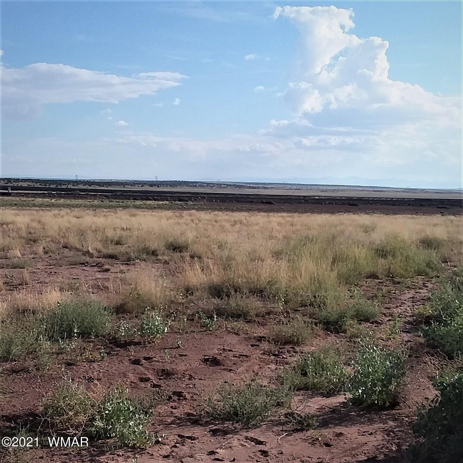 Lot 208 Carrizo Ranch St. Johns, AZ 85936 - Photo 4 of 7