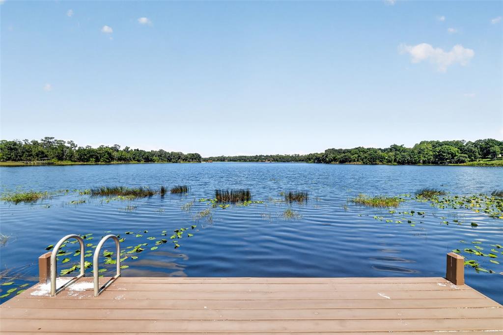 22625 Lake Seneca Road Eustis, FL 32736 - Photo 54 of 62