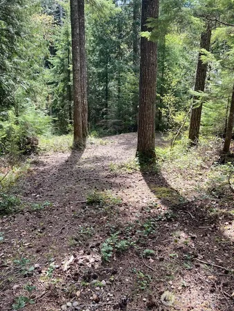 $59,900 | 410 Mt Seattle Way, Hoodsport, WA 98548