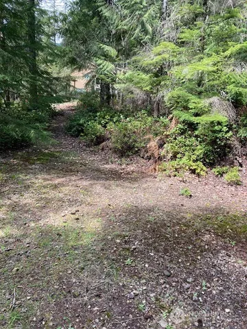a view of a yard with a tree
