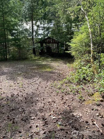a view of a yard with plants and trees