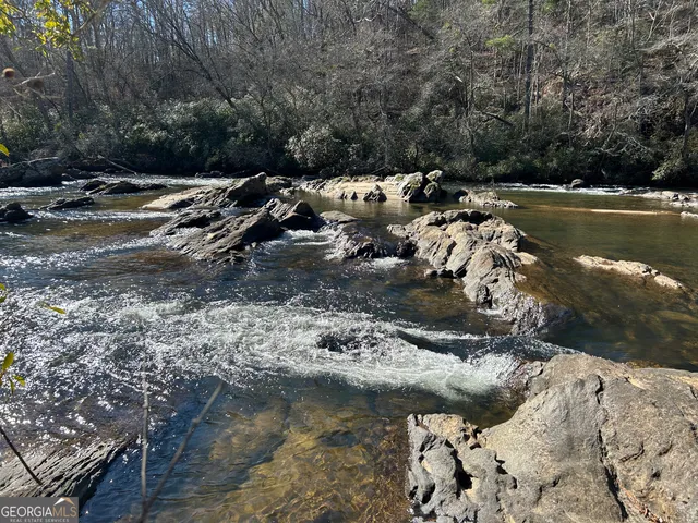 a view of a lake with trees