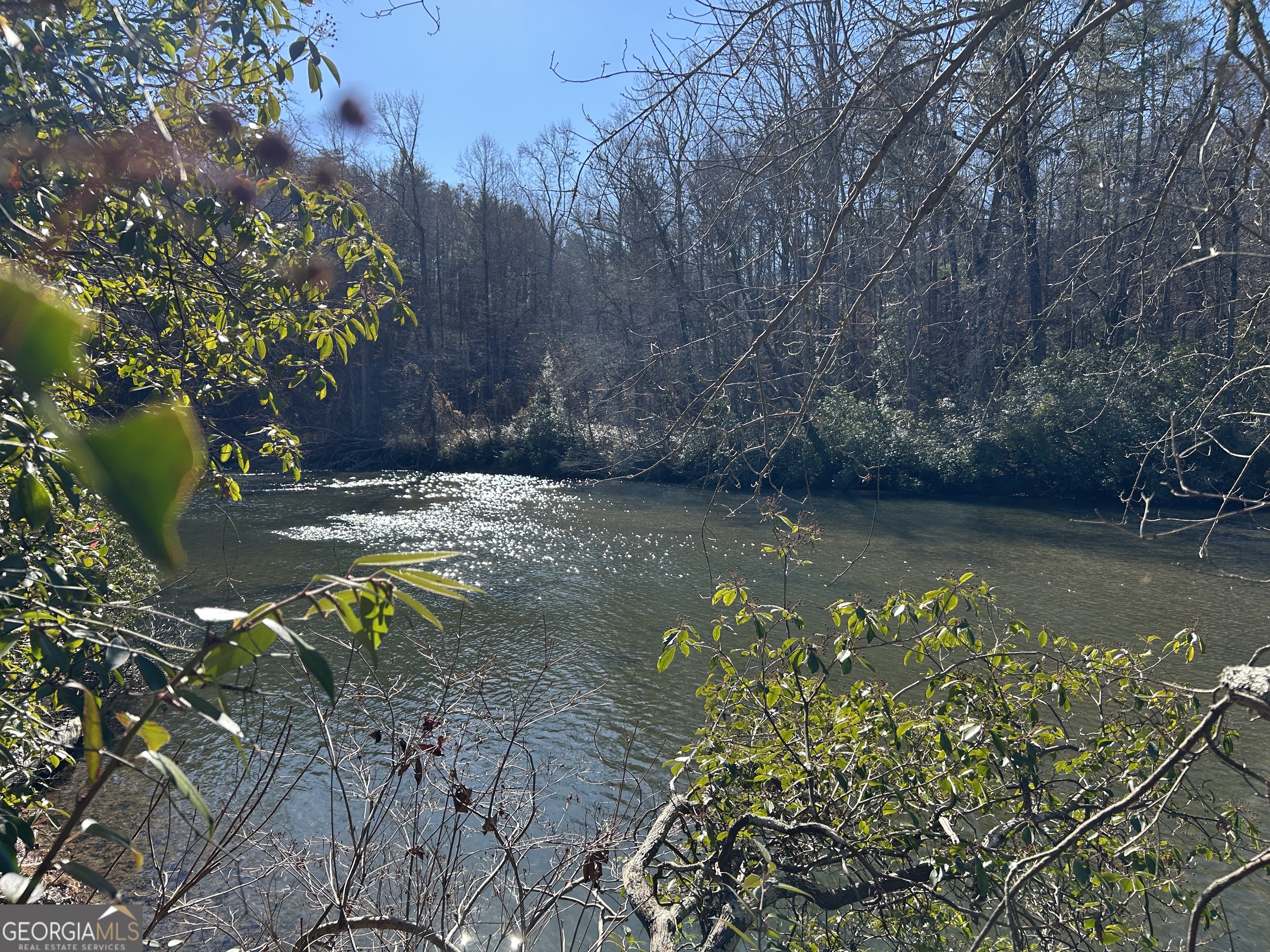 0 Twin River Orchard Road, Unit TRACT 2 Demorest, GA 30535 - Photo 11 of 24 a view of a lake with a tree