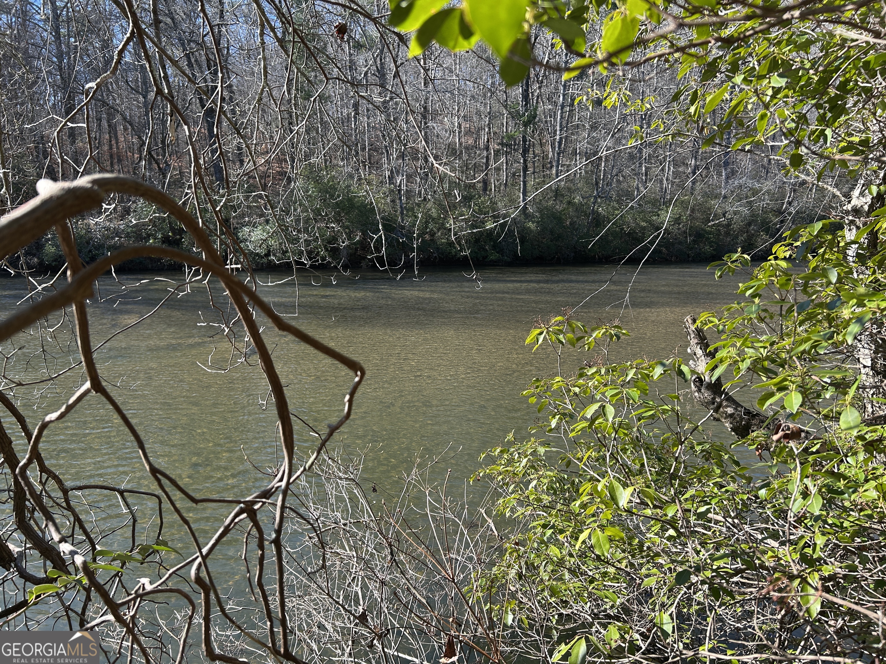 0 Twin River Orchard Road, Unit TRACT 2 Demorest, GA 30535 - Photo 12 of 24 a view of swimming pool