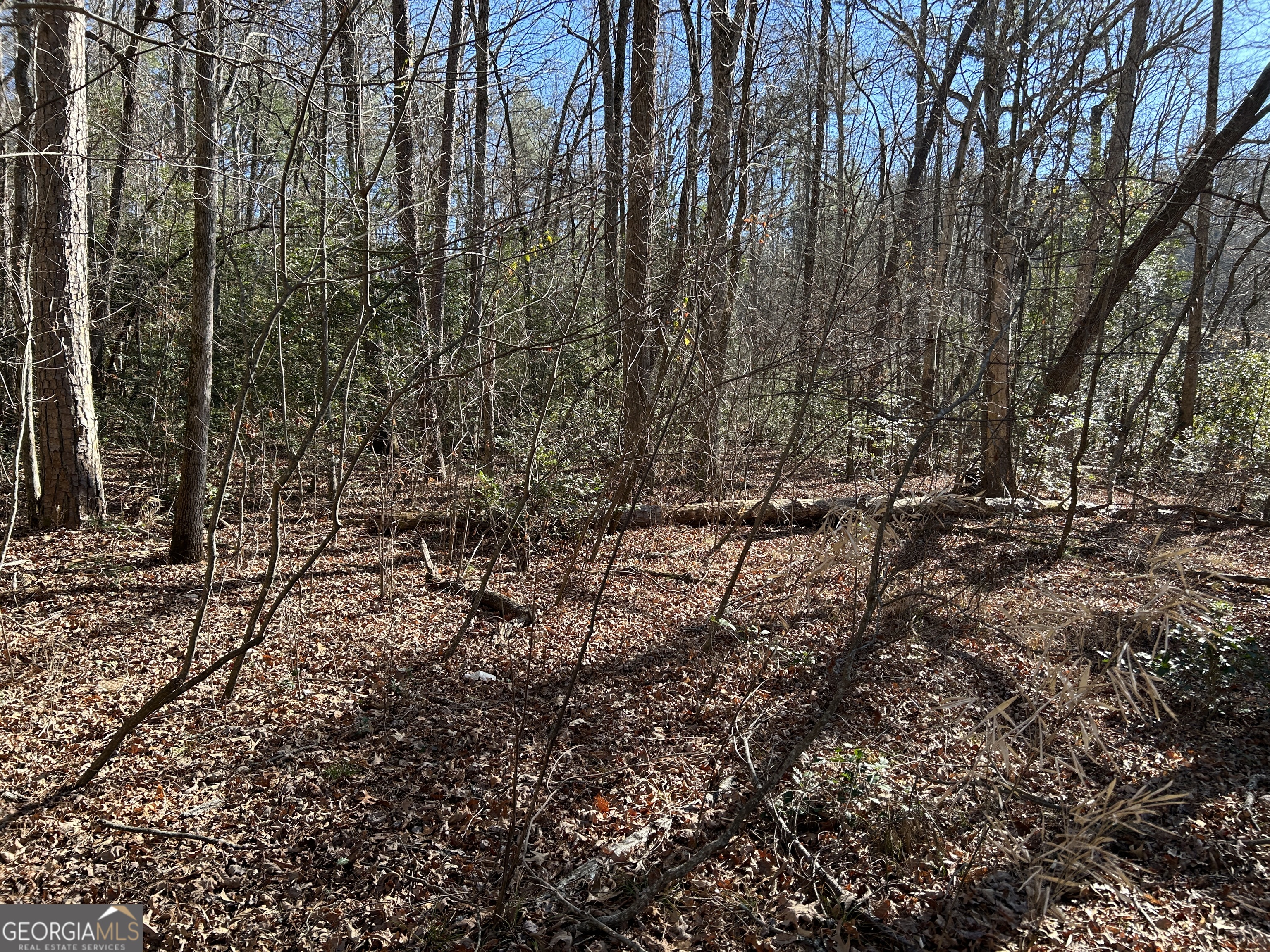 0 Twin River Orchard Road, Unit TRACT 2 Demorest, GA 30535 - Photo 16 of 24 a view of outdoor space