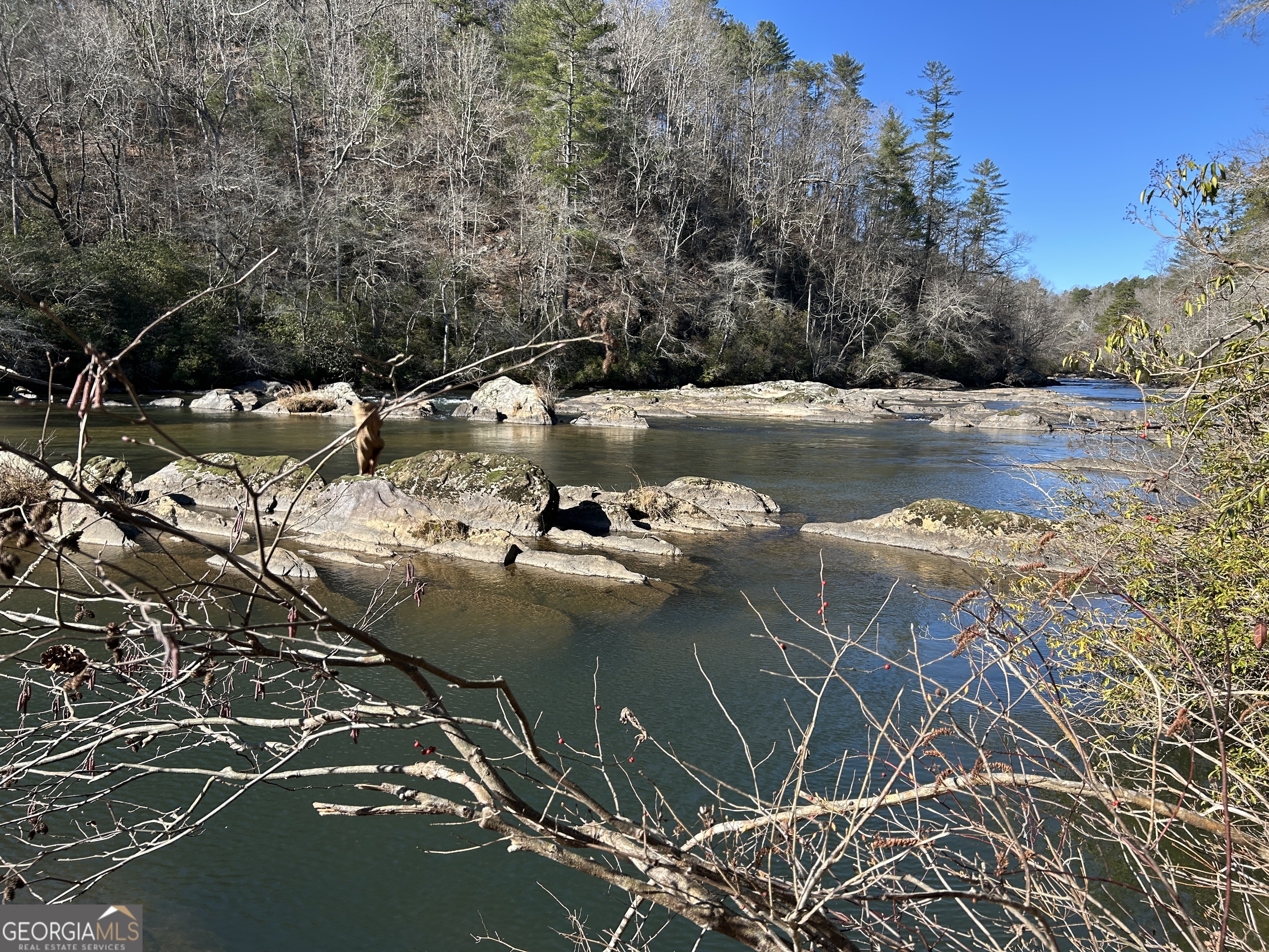 0 Twin River Orchard Road, Unit TRACT 2 Demorest, GA 30535 - Photo 17 of 24 a view of lake with mountain