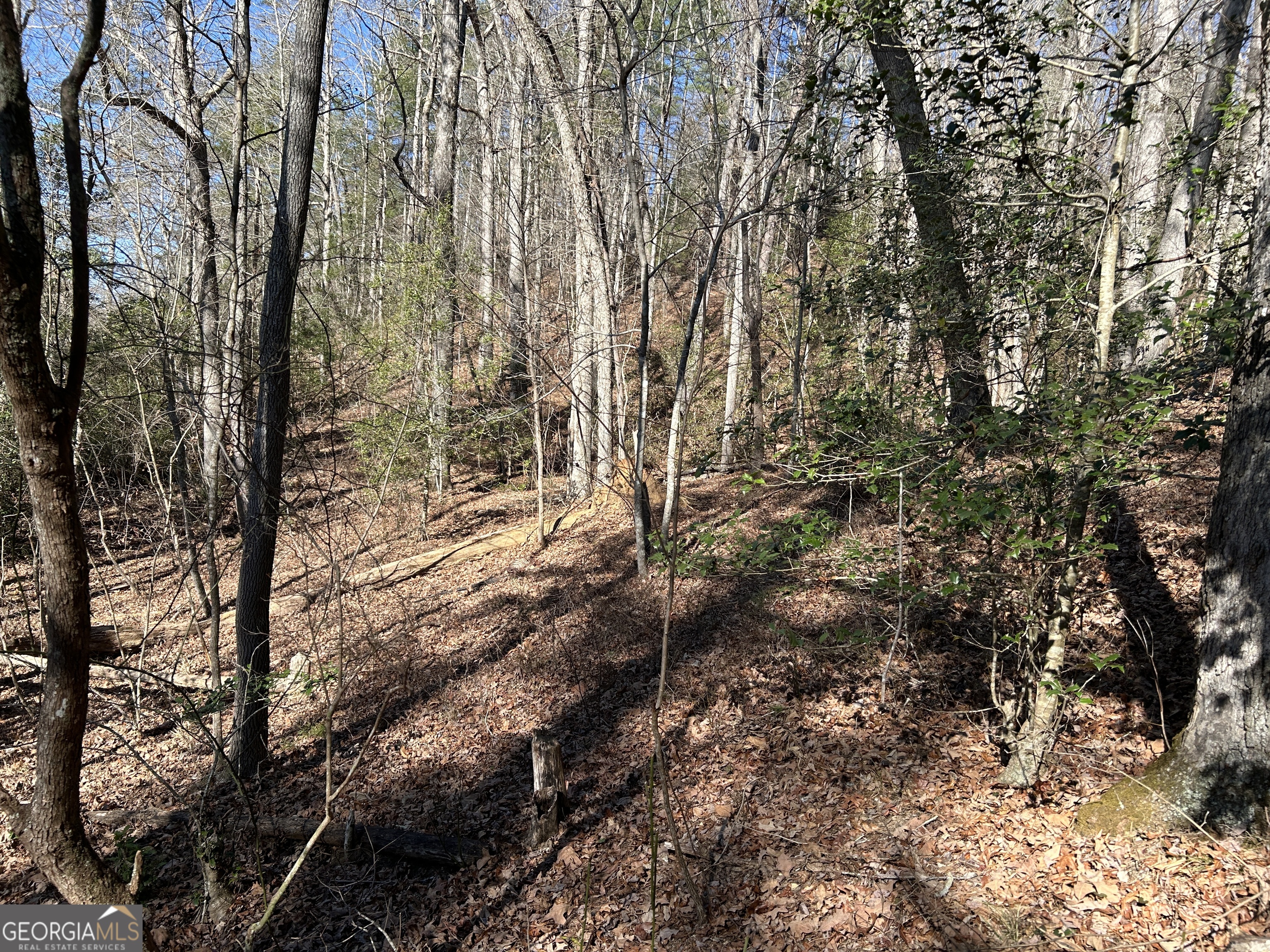 0 Twin River Orchard Road, Unit TRACT 2 Demorest, GA 30535 - Photo 19 of 24 a view of a yard