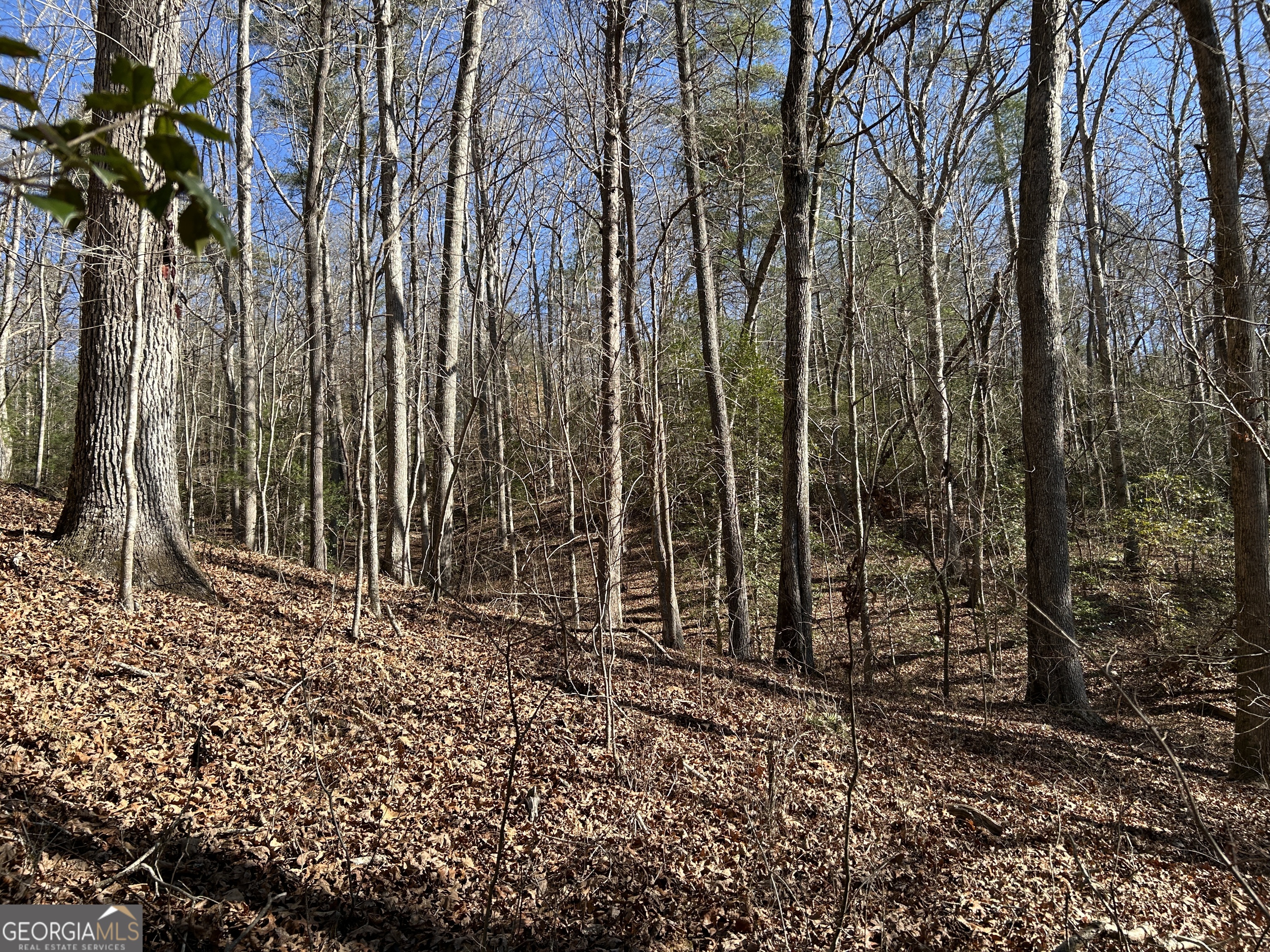 0 Twin River Orchard Road, Unit TRACT 2 Demorest, GA 30535 - Photo 22 of 24 a backyard of a house with lots of green space