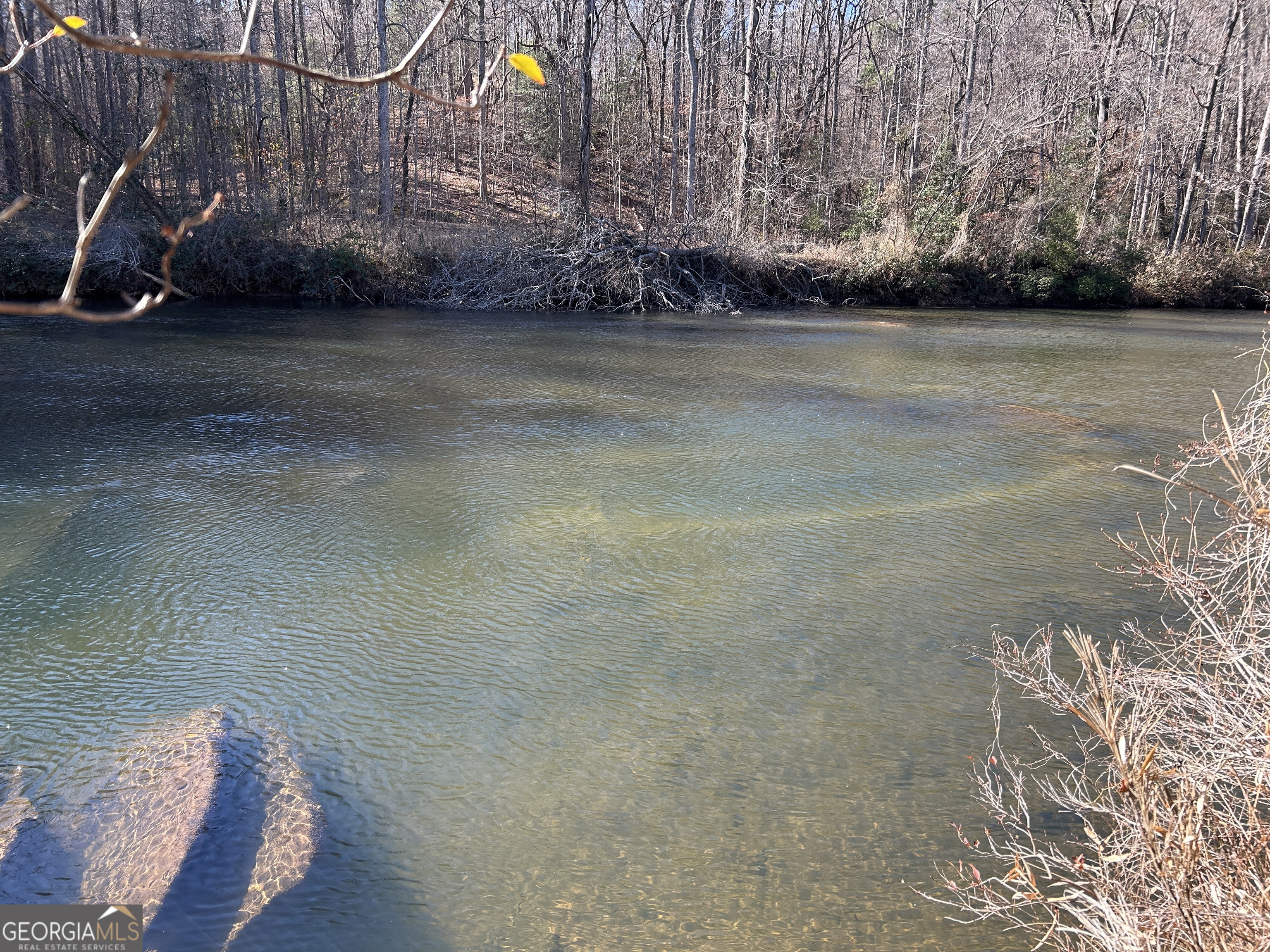 0 Twin River Orchard Road, Unit TRACT 2 Demorest, GA 30535 - Photo 5 of 24 a view of a bench in terrace