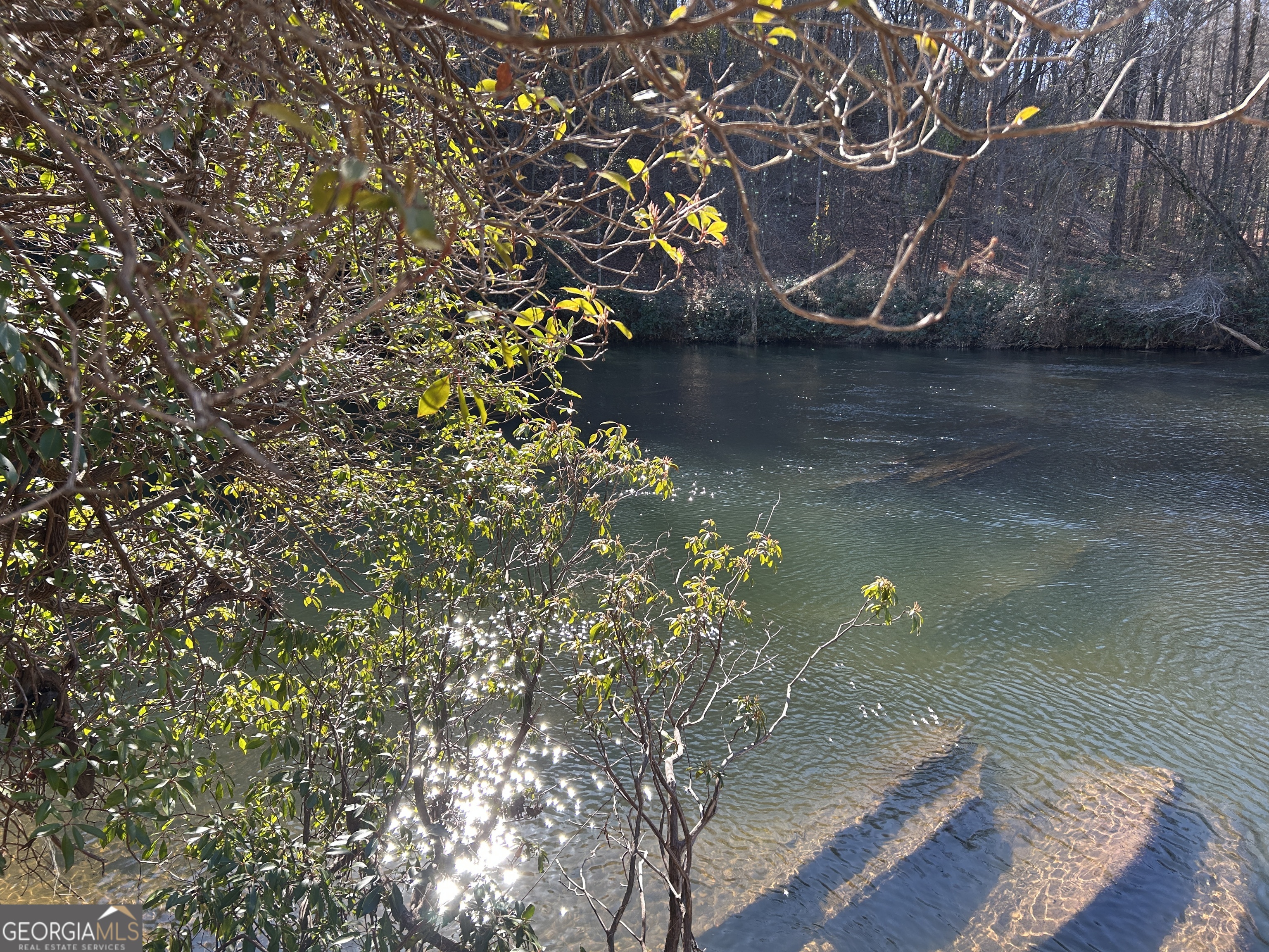 0 Twin River Orchard Road, Unit TRACT 2 Demorest, GA 30535 - Photo 6 of 24 a view of a lake from a yard