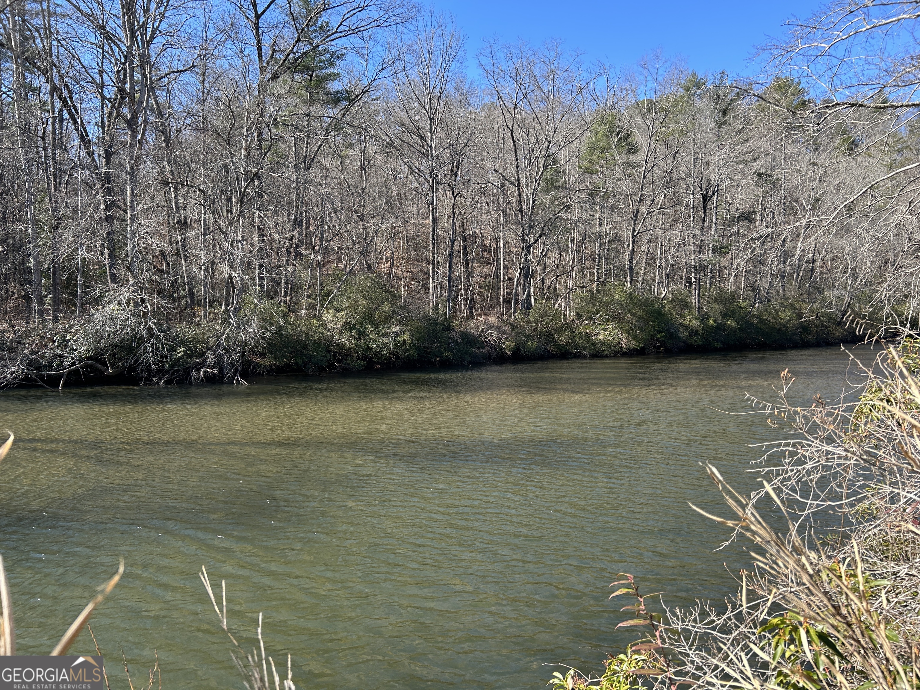 0 Twin River Orchard Road, Unit TRACT 2 Demorest, GA 30535 - Photo 7 of 24 a view of an ocean with beach