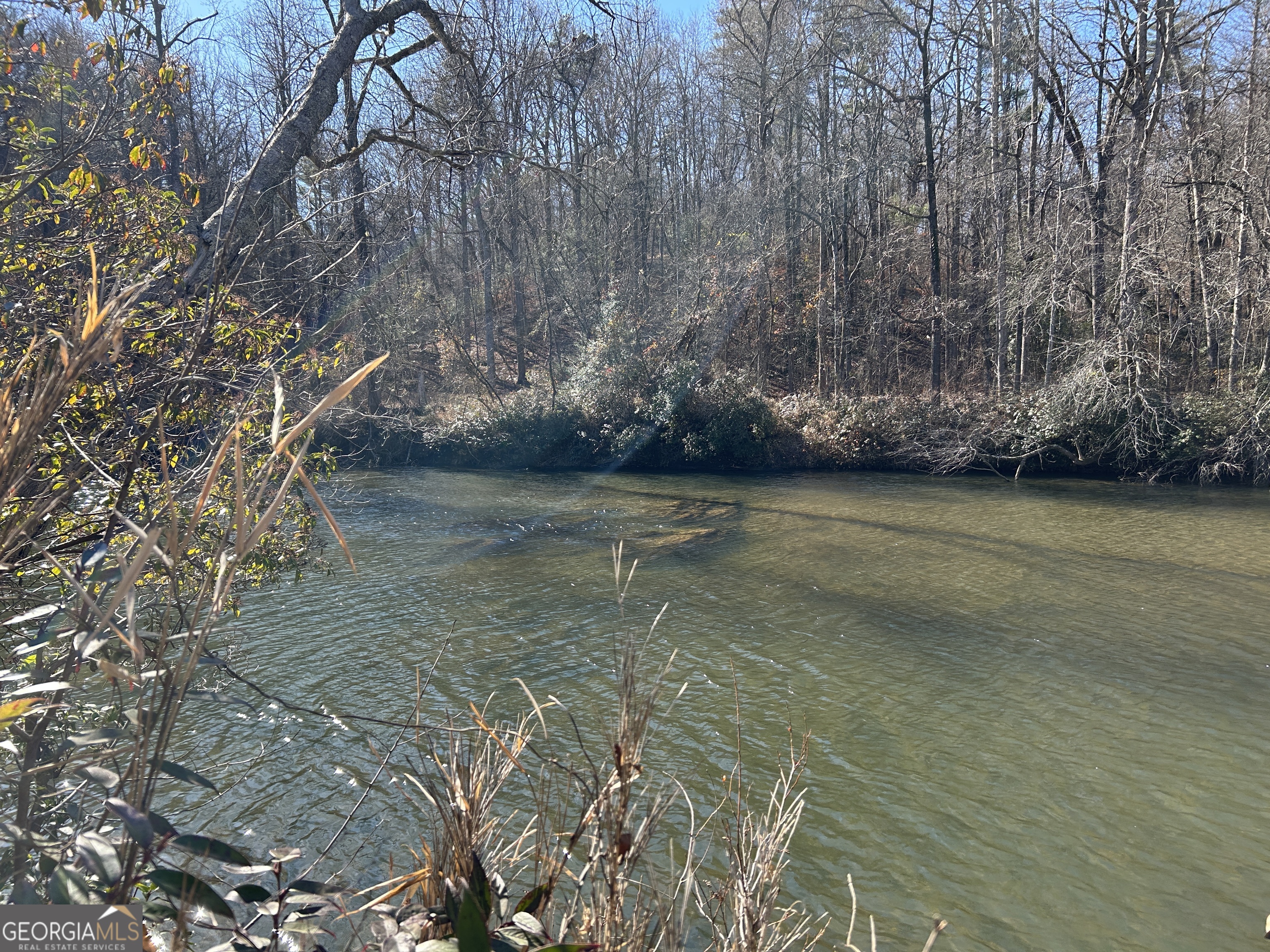 0 Twin River Orchard Road, Unit TRACT 2 Demorest, GA 30535 - Photo 8 of 24 a view of a lake view