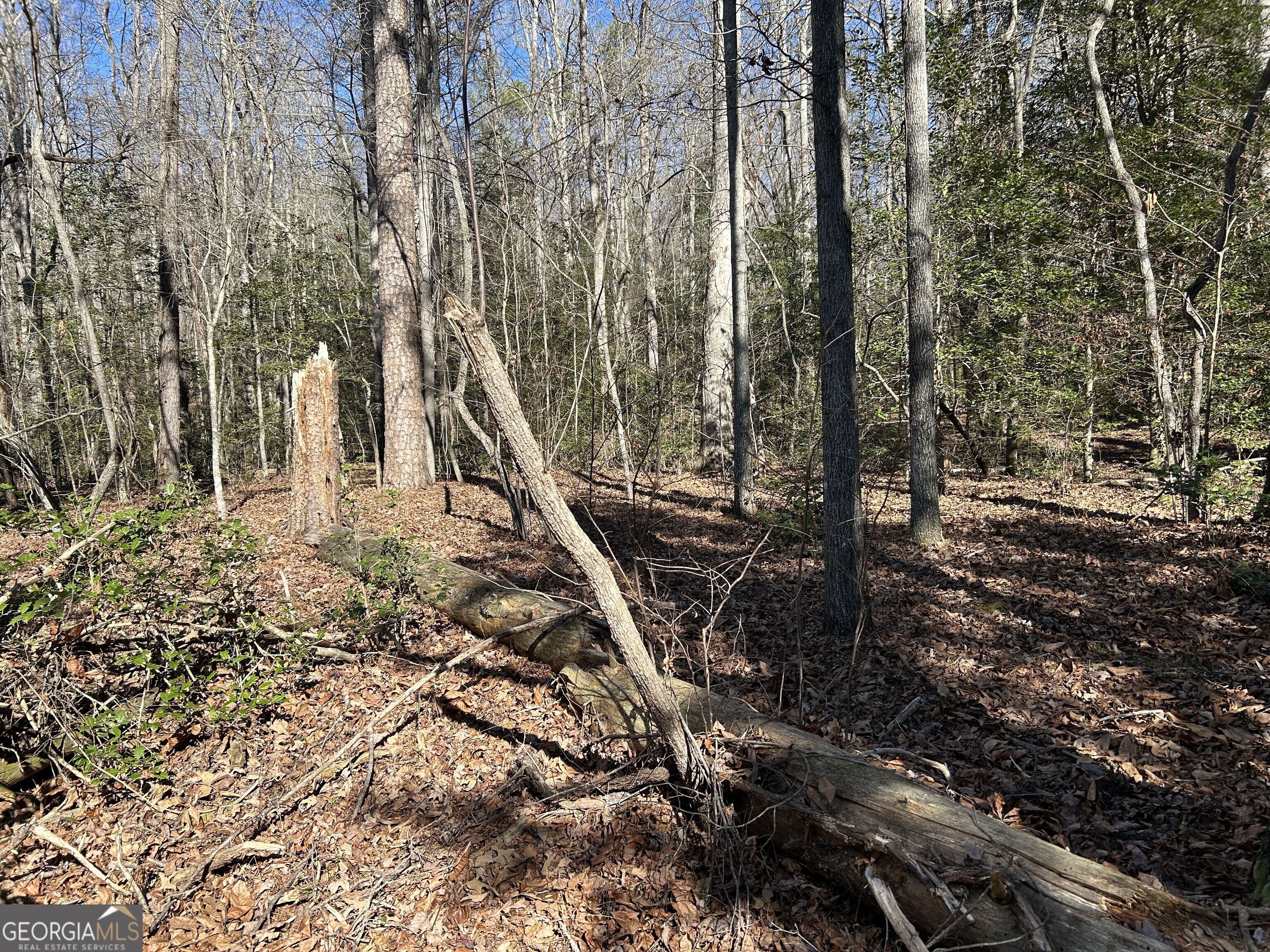 0 Twin River Orchard Road, Unit TRACT 2 Demorest, GA 30535 - Photo 9 of 24 a view of trees and bushes