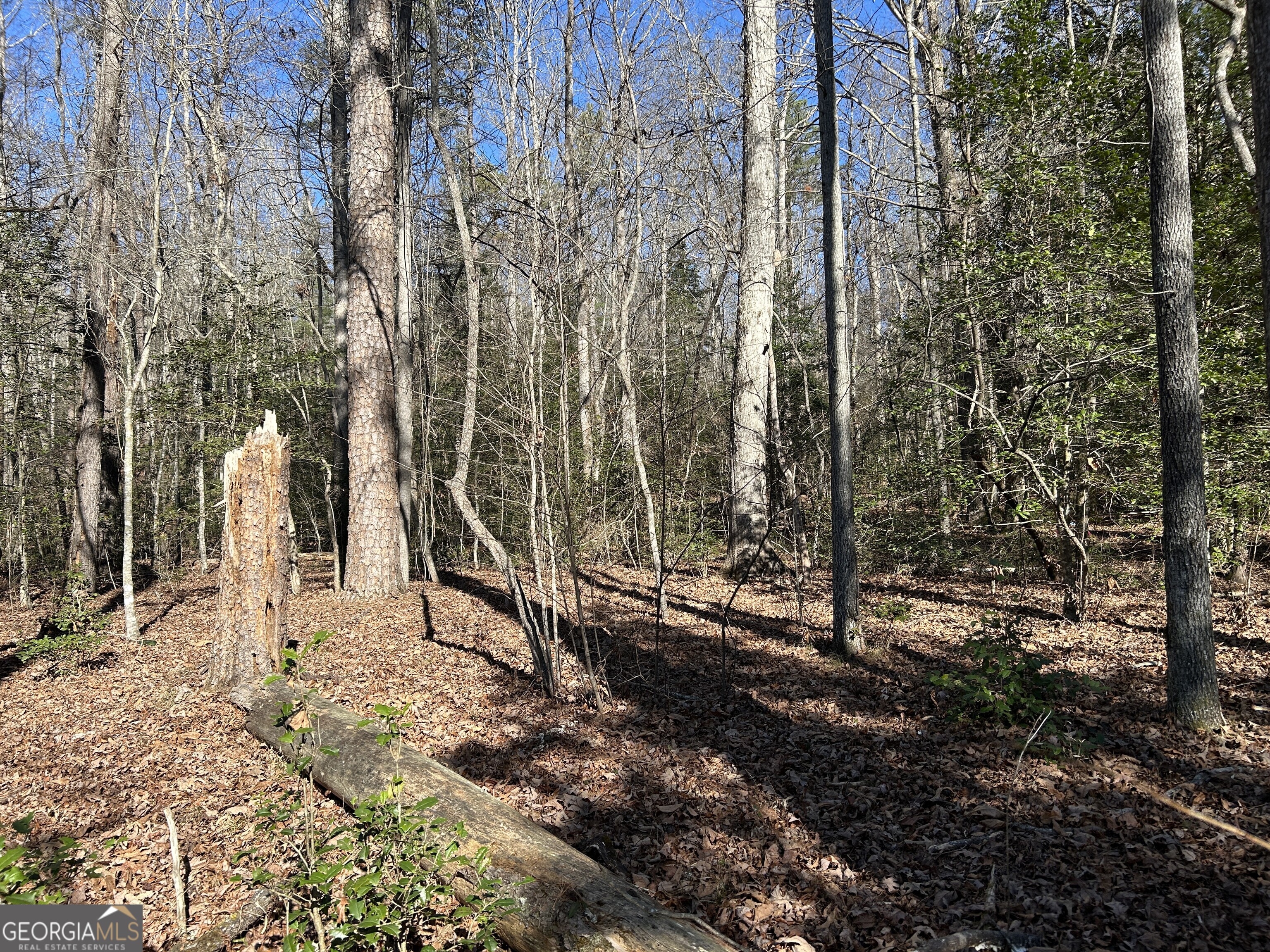 0 Twin River Orchard Road, Unit TRACT 2 Demorest, GA 30535 - Photo 10 of 24 a view of a park with large trees