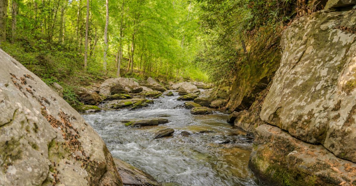 102 State Rd S-39-143 Sunset, SC 29685 - Photo 41 of 47 A tranquil river winds through a verdant forest, creating a serene natural escape.