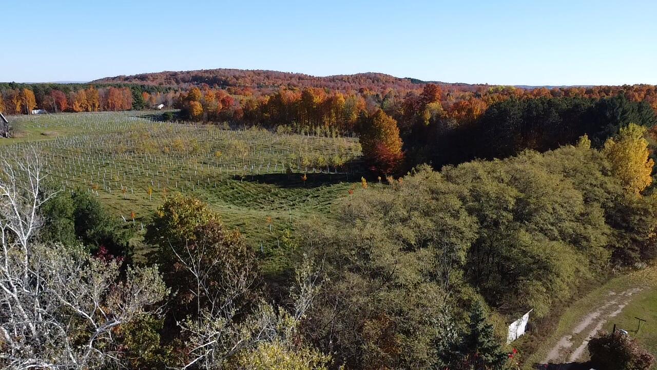 8721 Glovers Lake Road Bear Lake, MI 49614 - Photo 11 of 47 2025-10-27-15-55-14-129