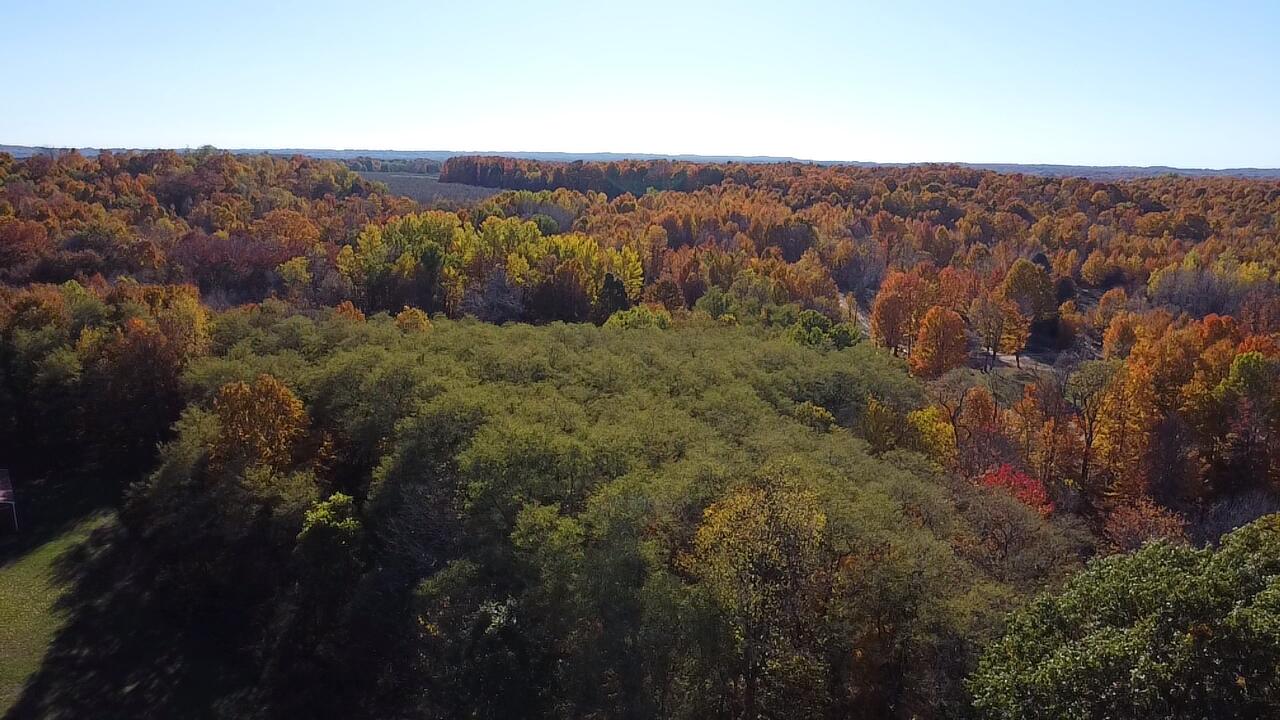 8721 Glovers Lake Road Bear Lake, MI 49614 - Photo 12 of 47 2025-10-27-15-55-55-667