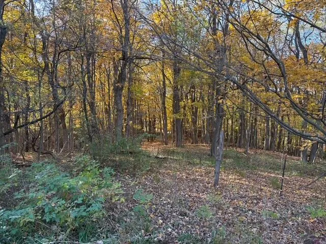 $289,000 | 8721 Glovers Lake Road, Bear Lake, MI 49614