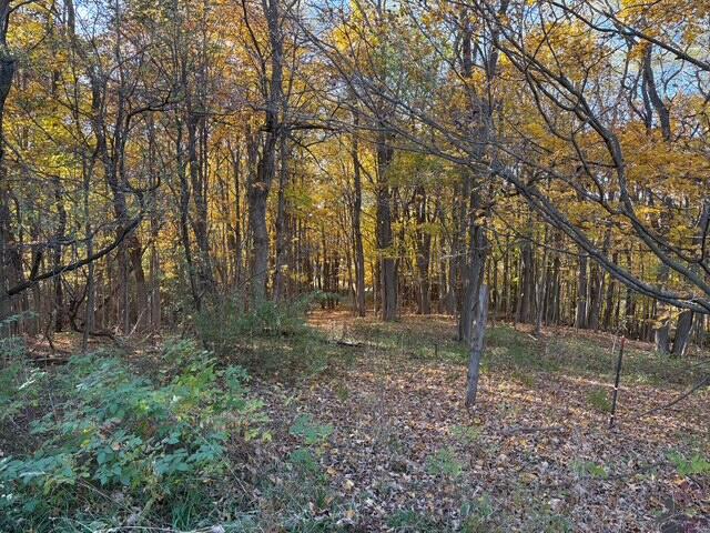 8721 Glovers Lake Road Bear Lake, MI 49614 - Photo 46 of 47 IMG_7573