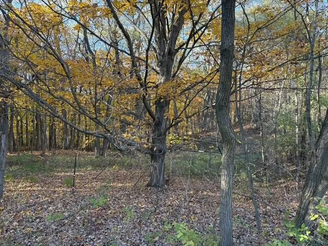 $289,000 | 8721 Glovers Lake Road, Bear Lake, MI 49614