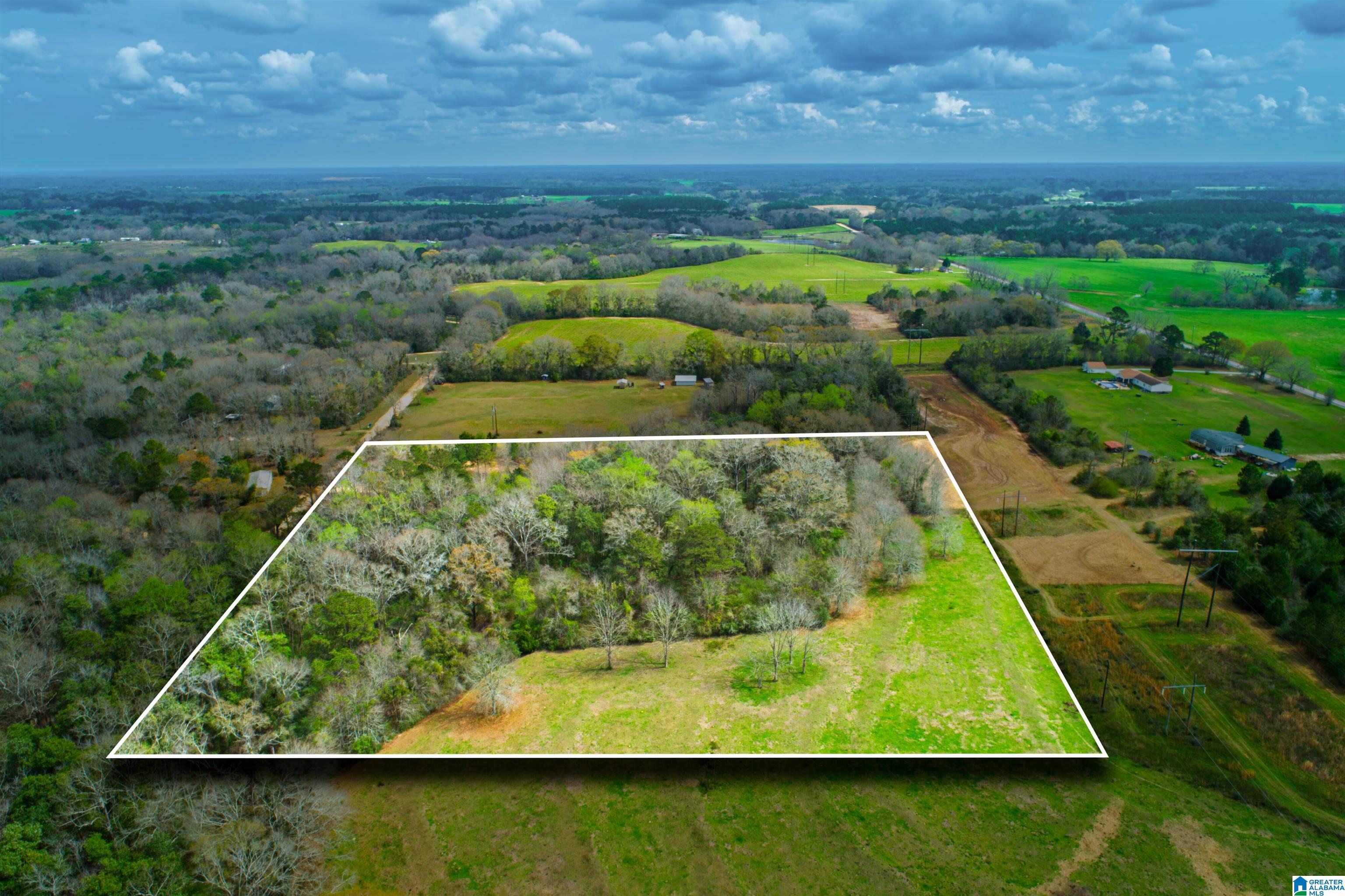 27180 Deer Run Road Opp, AL 36467 - Photo 2 of 60
