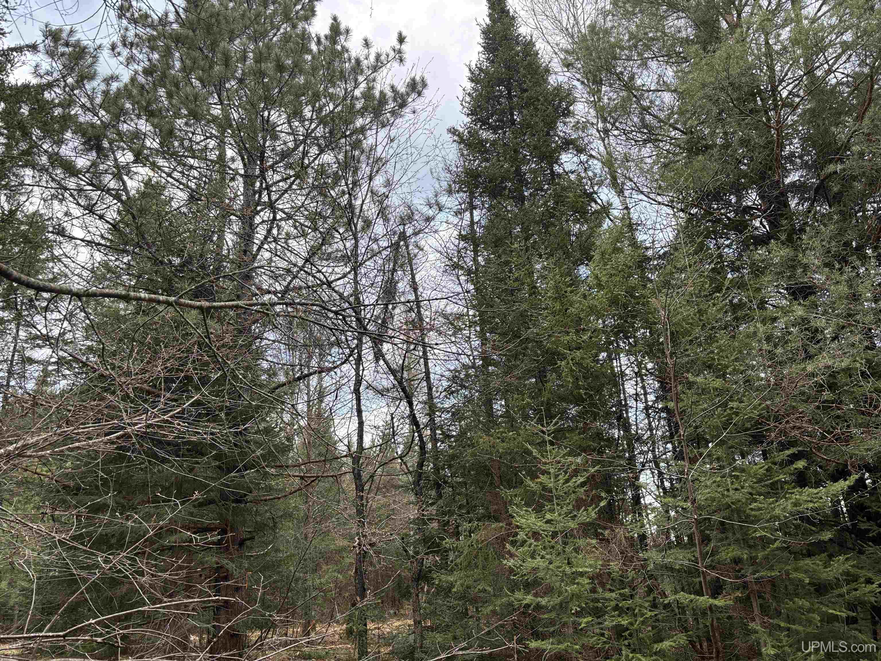 4480 W Sand Rock Road Hurley, WI 54534 - Photo 15 of 57