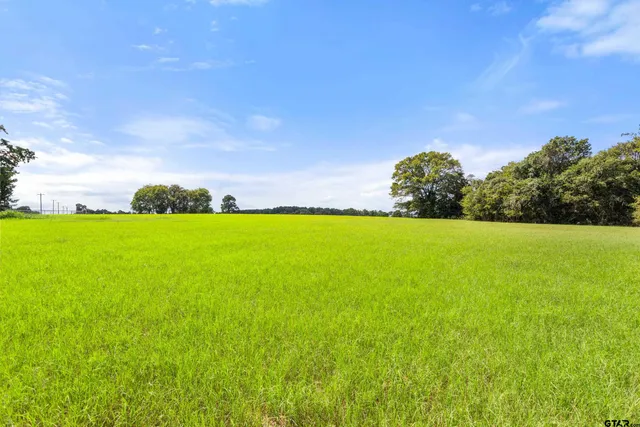 a view of a garden and basketball court