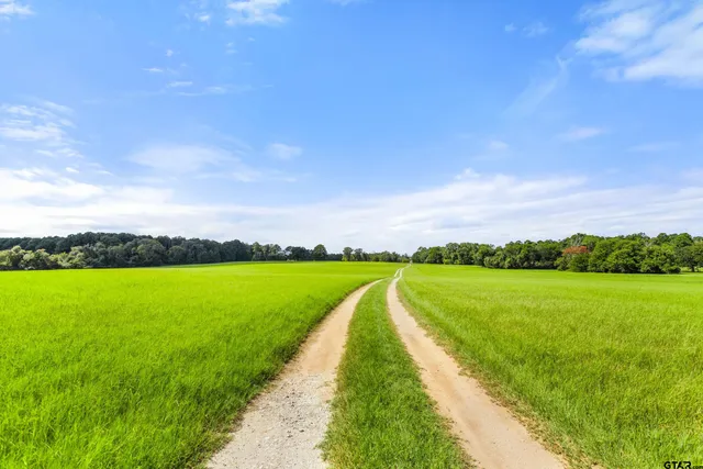 a view of a lake with a big yard