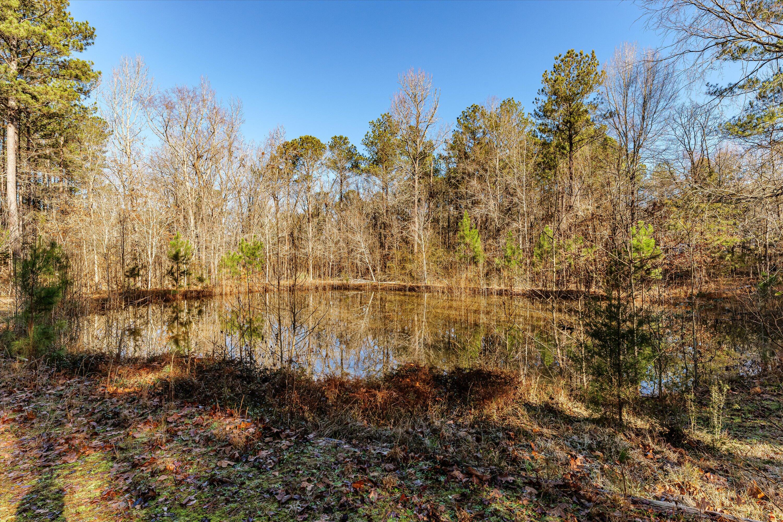 1234 Furys Ferry Road Evans, GA 30809 - Photo 39 of 53 Pond