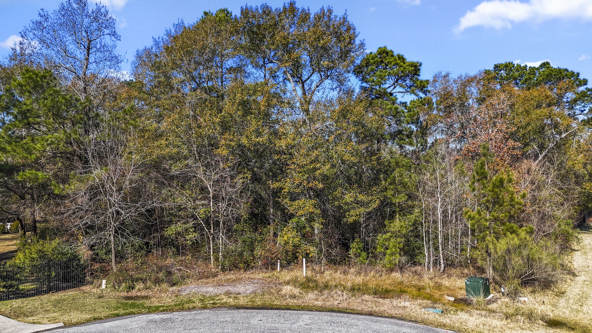 3707 Skyoak Court Spring, TX 77386 - Photo 4 of 14