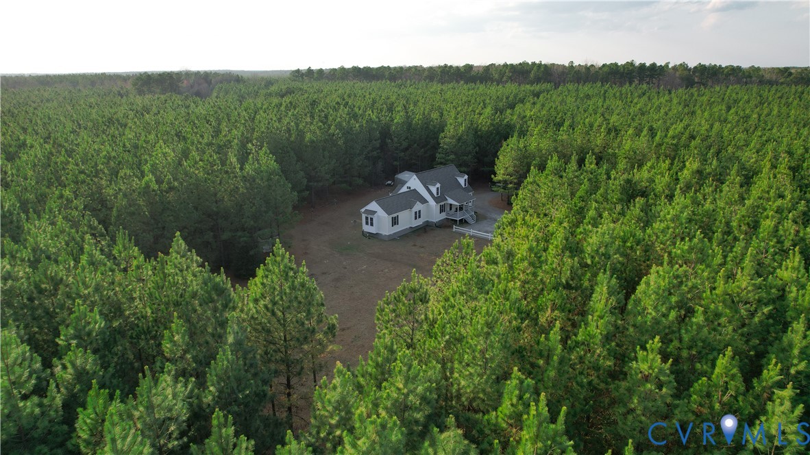 19001 Old Stage Road Dinwiddie, VA 23841 - Photo 4 of 84 a view of a house with a garden and a forest