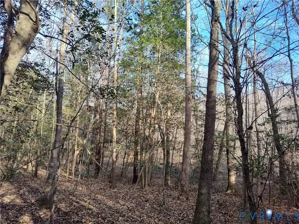 $479,500 | 19001 Old Stage Road, Dinwiddie, VA 23841
