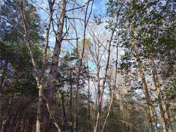 $479,500 | 19001 Old Stage Road, Dinwiddie, VA 23841