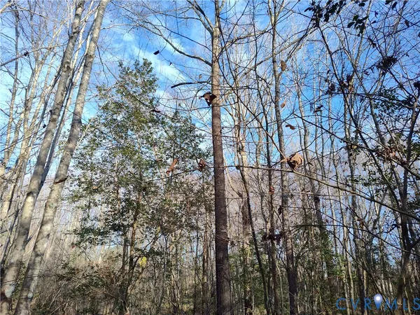 $479,500 | 19001 Old Stage Road, Dinwiddie, VA 23841