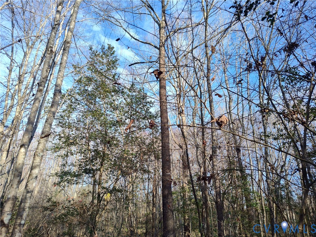 19001 Old Stage Road Dinwiddie, VA 23841 - Photo 66 of 84