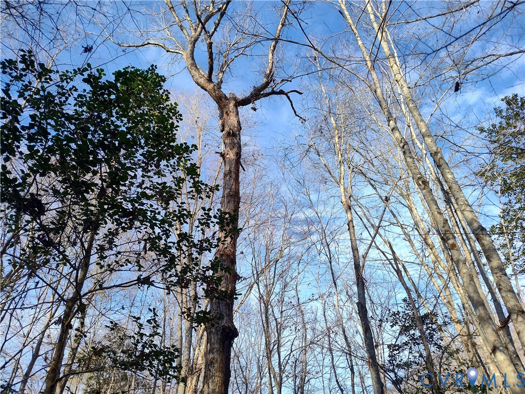 19001 Old Stage Road Dinwiddie, VA 23841 - Photo 67 of 84