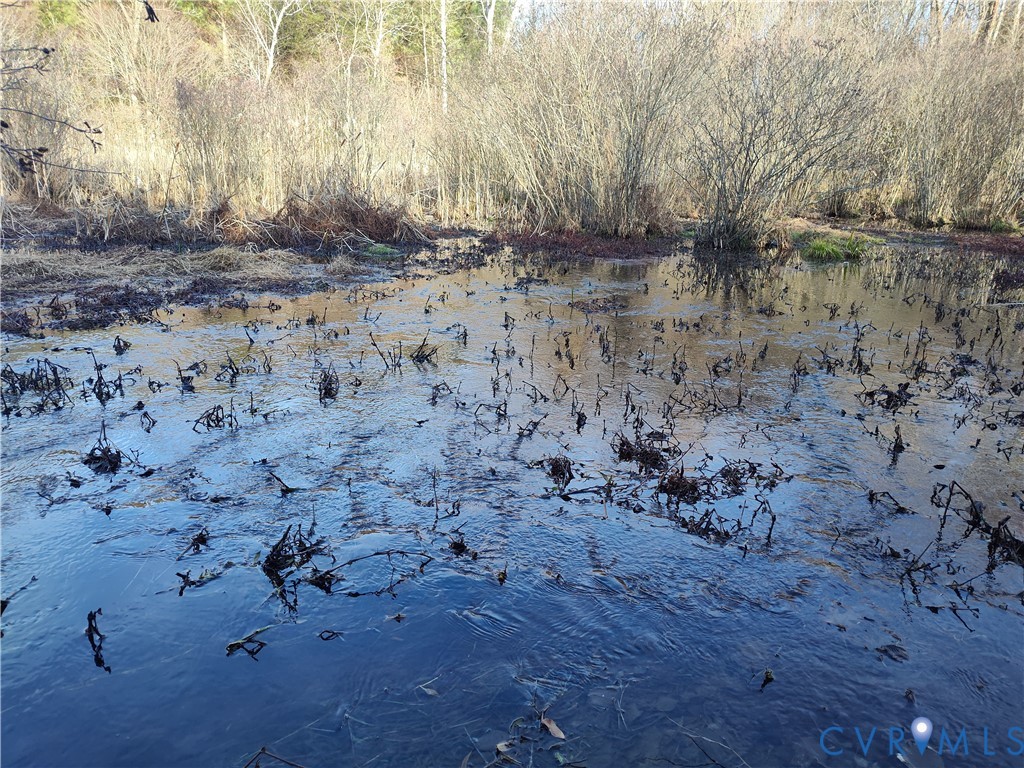19001 Old Stage Road Dinwiddie, VA 23841 - Photo 68 of 84
