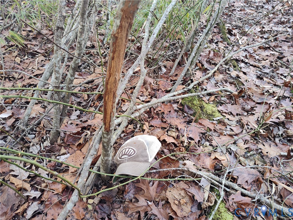 19001 Old Stage Road Dinwiddie, VA 23841 - Photo 69 of 84