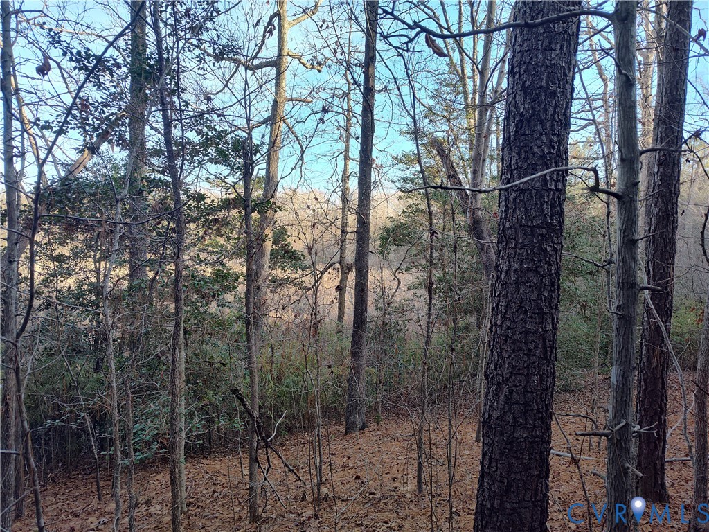 19001 Old Stage Road Dinwiddie, VA 23841 - Photo 73 of 84