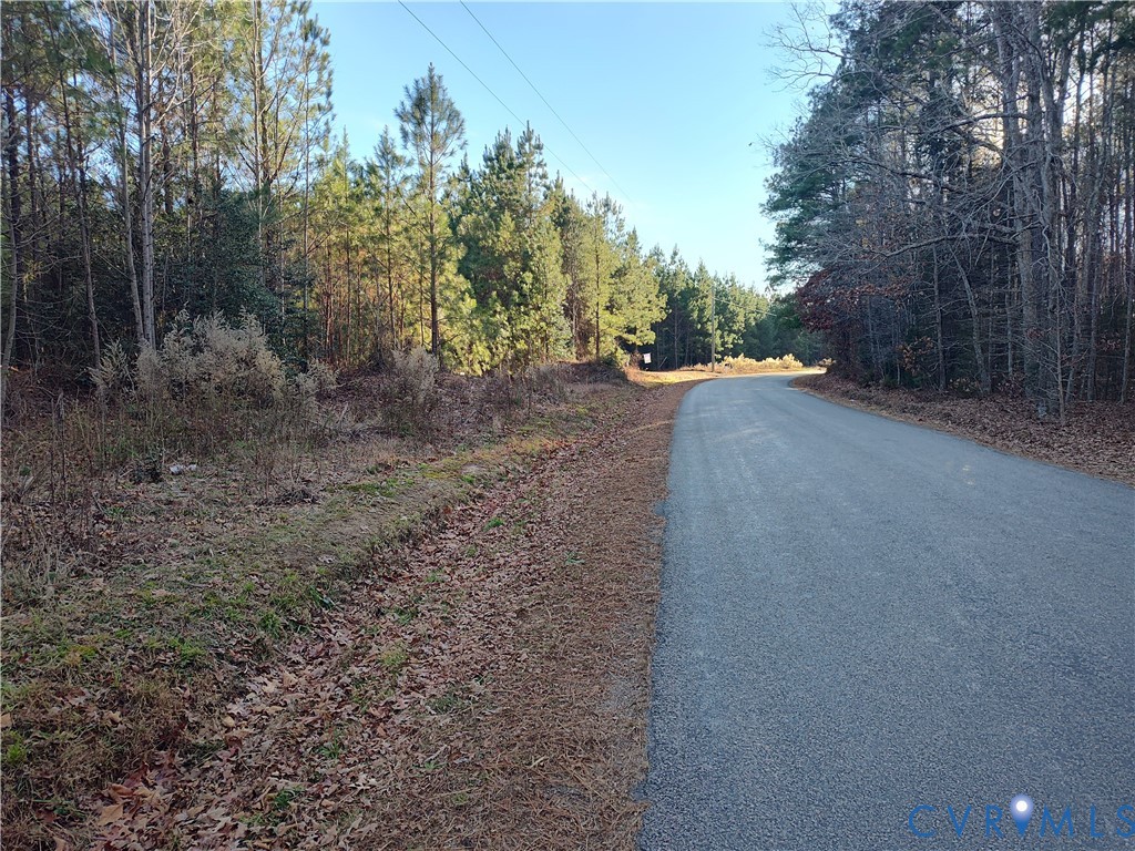 19001 Old Stage Road Dinwiddie, VA 23841 - Photo 74 of 84 a view of a forest with trees in the background