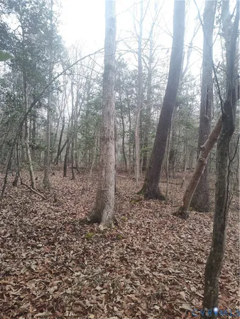 $479,500 | 19001 Old Stage Road, Dinwiddie, VA 23841