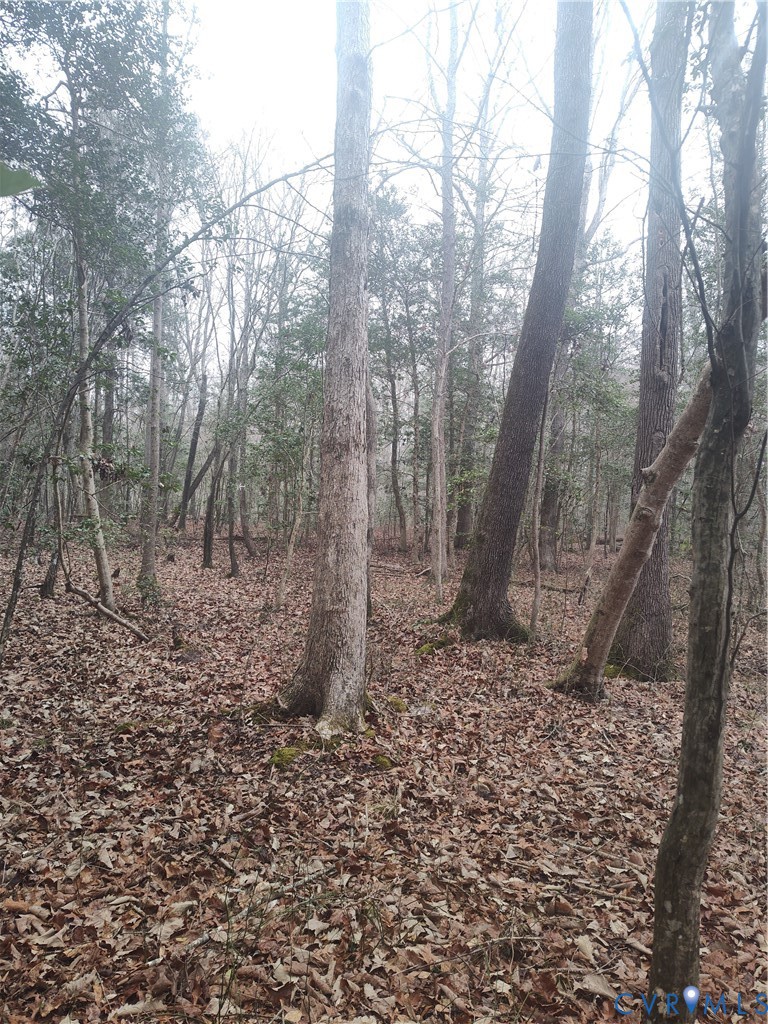 19001 Old Stage Road Dinwiddie, VA 23841 - Photo 75 of 84