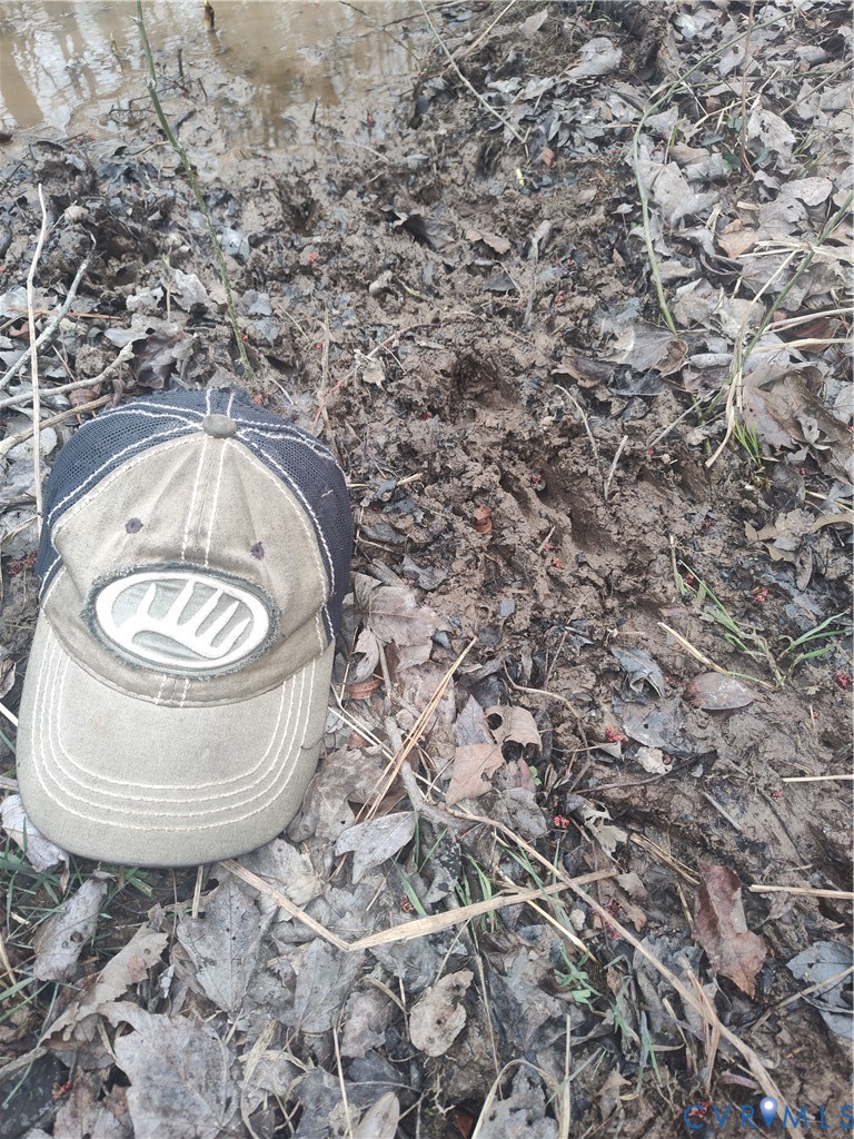 19001 Old Stage Road Dinwiddie, VA 23841 - Photo 76 of 84